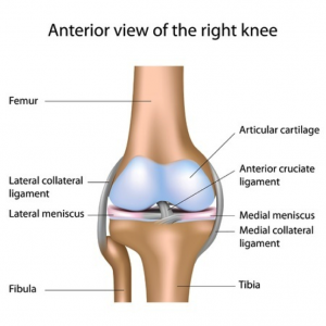 knee-arthroscopy